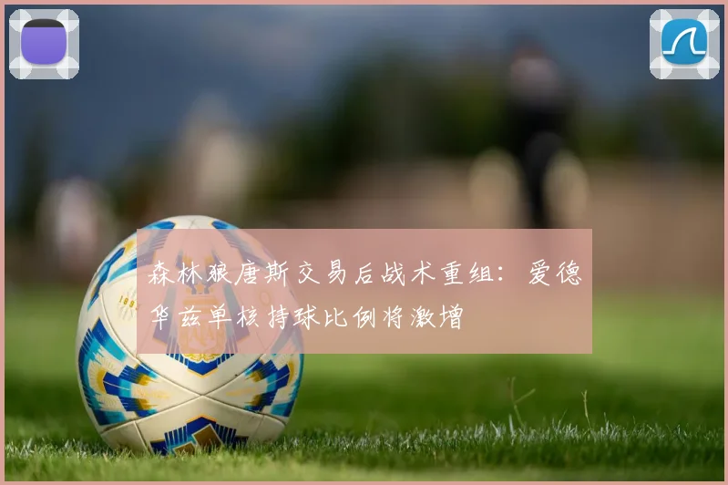 森林狼唐斯交易后战术重组：爱德华兹单核持球比例将激增